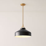 Load image into Gallery viewer, Hanton Modern Metal Pendant Light - Hanging Lamp for Kitchen
