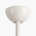 Bild in die Galerieansicht laden, Designer Hat Two-Blade Ceiling Fan Light detail image