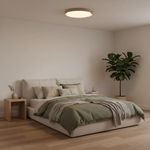 Load image into Gallery viewer, Dari Round Ceiling Light