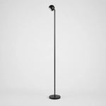 Bild in die Galerieansicht laden, Minimalist Black Smart Remote Floor Lamp