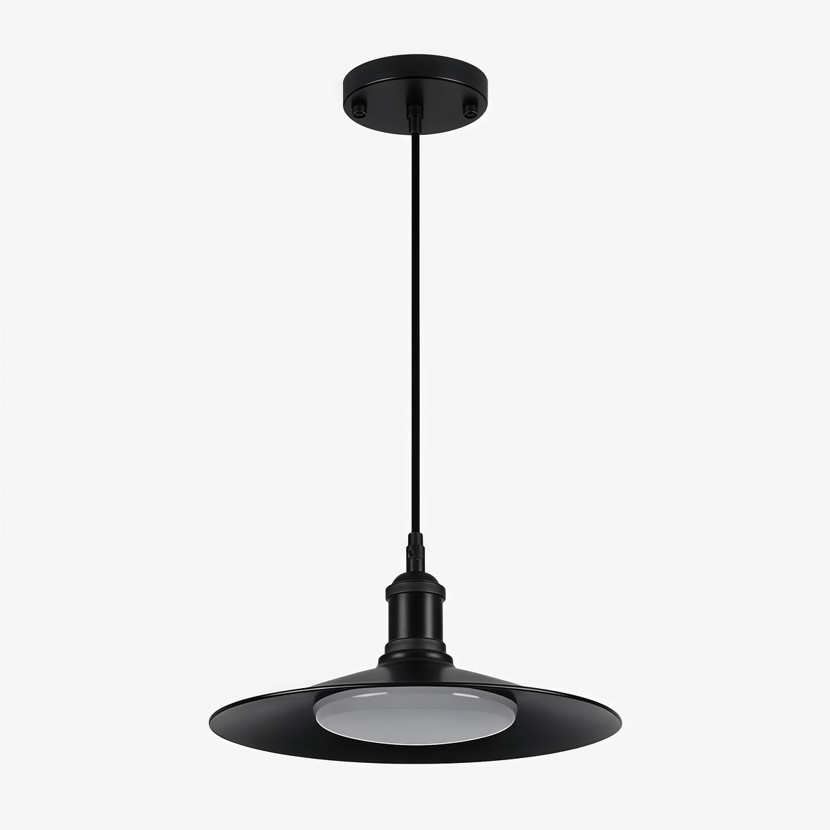Leviaxa Outdoor Metal Pendant and Ceiling Light