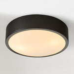 Load image into Gallery viewer, Crelina Minimalist Flush Mount Lighting - Modern Ceiling Fixture for Any Room
