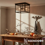 Load image into Gallery viewer, Ferrix Minimalistisch Iron Flush Mount Ceiling Light - Modern Outdoor Glass Ceiling Lamp
