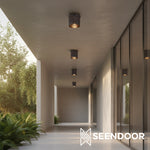 Load image into Gallery viewer, Raxon Metal Frame Industrial Ceiling Fixture for Living Room &amp; Foyer