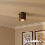 Load image into Gallery viewer, Raxon Metal Frame Industrial Ceiling Fixture for Living Room &amp; Foyer