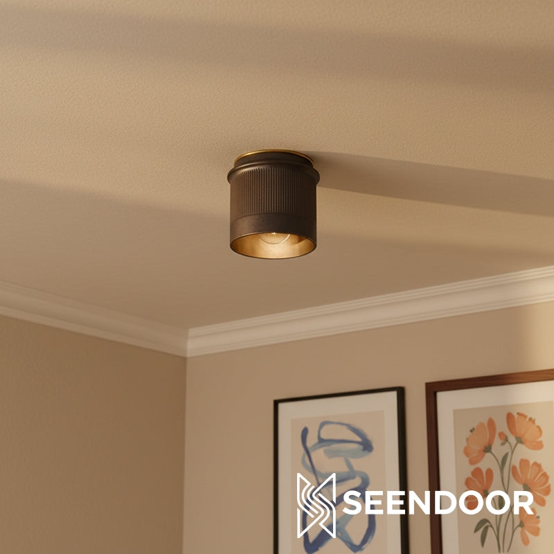 Raxon Metal Frame Industrial Ceiling Fixture for Living Room & Foyer