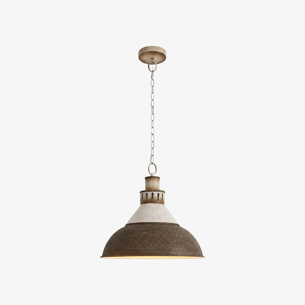 industrial dome pendant light color variant