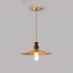 Load image into Gallery viewer, Brass Crest Pendant Light