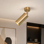 Charger l'image dans la visionneuse de la galerie, Brass adjustable ceiling spotlight close installed scene