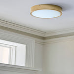 Load image into Gallery viewer, Crelina Minimalist Flush Mount Lighting - Modern Ceiling Fixture for Any Room
