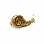 Carica l'immagine nella visualizzazione Galleria, Snail brass cabinet handle, single hole