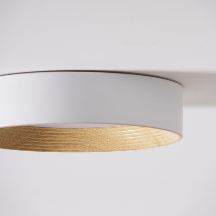 Lampada da soffitto minimalista Cedronis - Soluzione di illuminazione moderna per interni