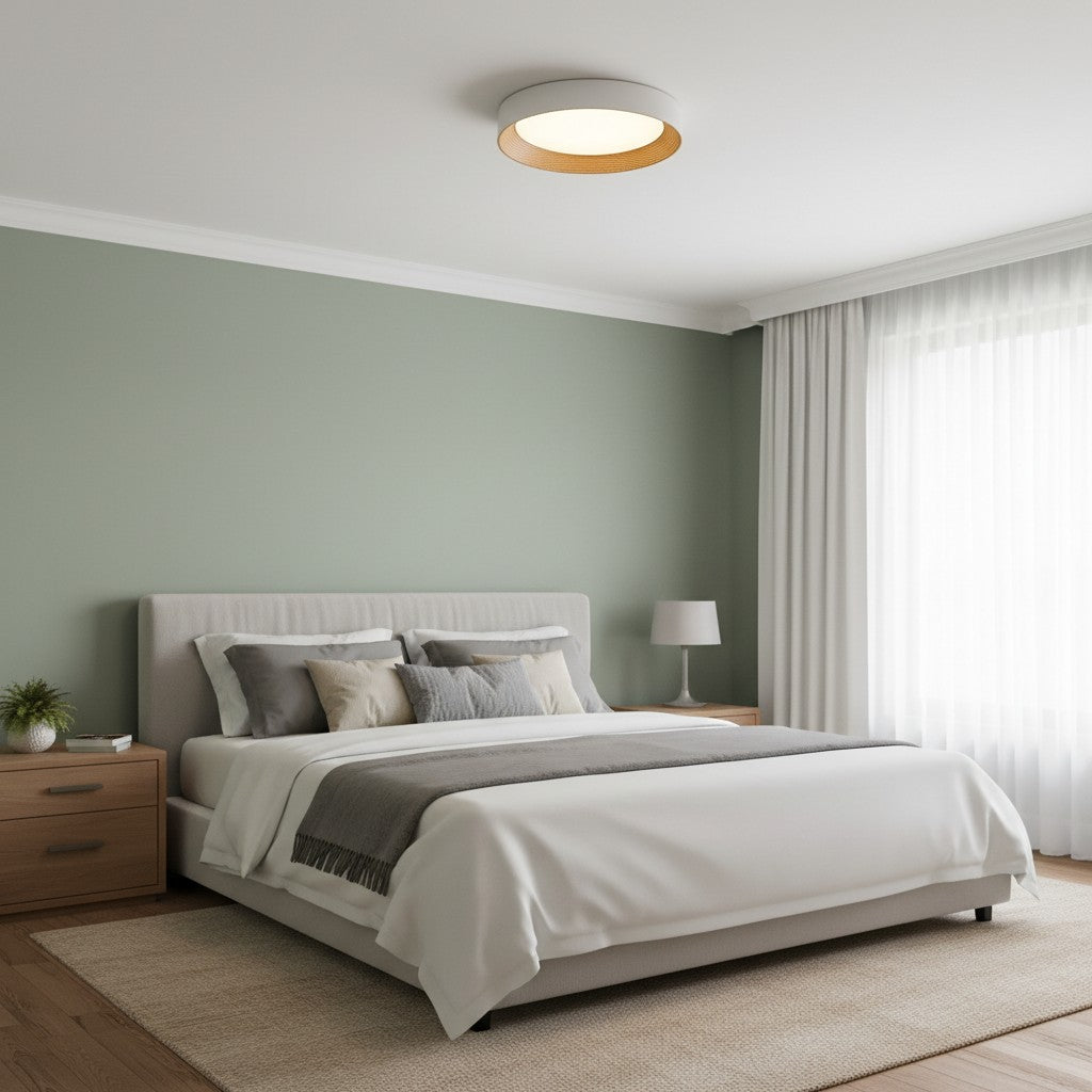 Lampada da soffitto minimalista Cedronis - Soluzione di illuminazione moderna per interni