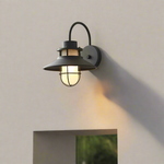 Load image into Gallery viewer, Luminous Outdoor Torch Metal Outdoor Wall Lamp