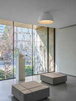 Charger l'image dans la visionneuse de la galerie, Lampe Plafonnier Duo – Luminaire Moderne en Bois Grain et Métal à Montage Affleurant pour Salon et Chambre