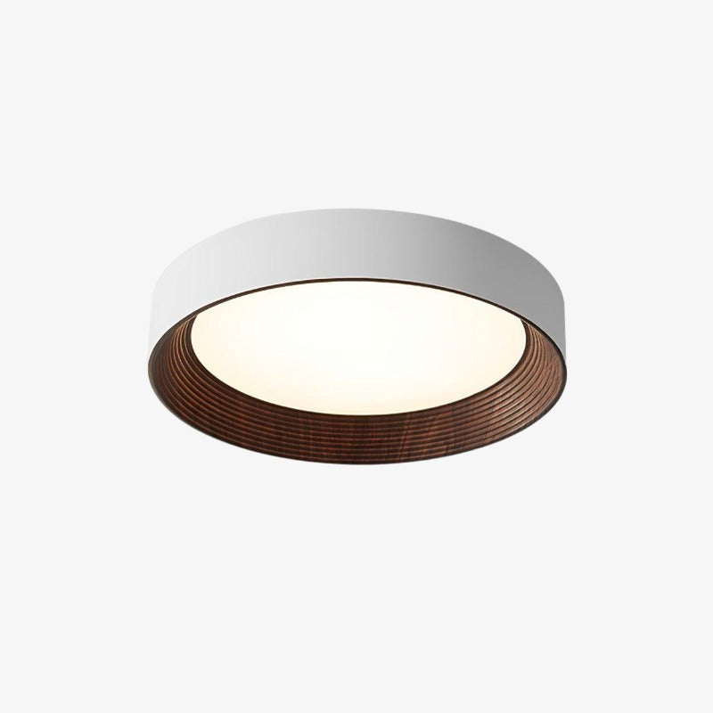 Lampada da soffitto minimalista Cedronis - Soluzione di illuminazione moderna per interni