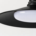 Cargar imagen en el visor de la Galería, Leviaxa Outdoor Metal Pendant and Ceiling Light