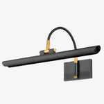 Afbeelding laden in galerijweergave, Aurix Schilderijlamp – Smalle Kap Kunstverlichting Metalen Afwerking Wandarmatuur voor Galerie