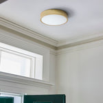 Load image into Gallery viewer, Crelina Minimalist Flush Mount Lighting - Modern Ceiling Fixture for Any Room
