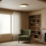 Afbeelding laden in galerijweergave, Cielora Ronde Opbouw Plafondlamp Minimalistisch Profiel - Moderne Interieurdecoratie