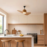 Bild in die Galerieansicht laden, Designer Hat Two-Blade Ceiling Fan Light scene image