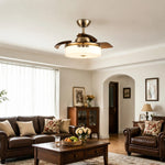 Bild in die Galerieansicht laden, Retractable ceiling fan light above classic living room seating