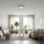 Carica l'immagine nella visualizzazione Galleria, Lampada da soffitto minimalista Cedronis - Soluzione di illuminazione moderna per interni