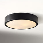 Load image into Gallery viewer, Crelina Minimalist Flush Mount Lighting - Modern Ceiling Fixture for Any Room
