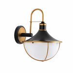 Cargar imagen en el visor de la Galería, Black and Gold Outdoor Wall Lantern