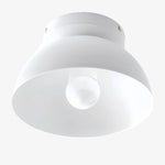 Load image into Gallery viewer, Metio Multi-Color Dome Flush Mount Ceiling Light Contemporary for Dining Area &amp; Entry
