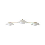 Load image into Gallery viewer, Elorina 3-Light Flush Mount Glass/Metal Ceiling Light - A Stylish Fixture for Modern Spaces
