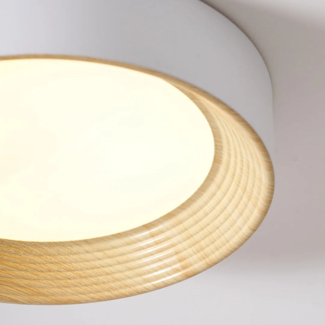 Lampada da soffitto minimalista Cedronis - Soluzione di illuminazione moderna per interni