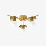 Load image into Gallery viewer, Radiro Globe Industrial Art Deco Light - Unfinished Brass Chandelier with Backsplashes

