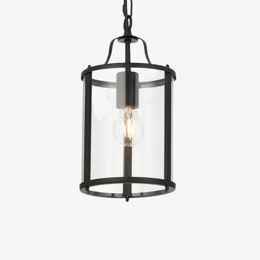 Aveline Clear Glass Metal Pendant Lamp