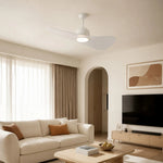 Bild in die Galerieansicht laden, Designer Hat Two-Blade Ceiling Fan Light scene image