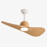 Bild in die Galerieansicht laden, Designer Hat Two-Blade Ceiling Fan Light