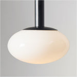Load image into Gallery viewer, Rolvona Globe Pendant Light - Modern Oval Shade Hanging Lamp
