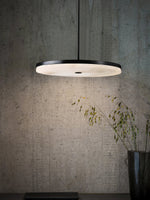 Load image into Gallery viewer, Wyatt Alabaster Pendant Light