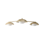 Load image into Gallery viewer, Elorina 3-Light Flush Mount Glass/Metal Ceiling Light - A Stylish Fixture for Modern Spaces
