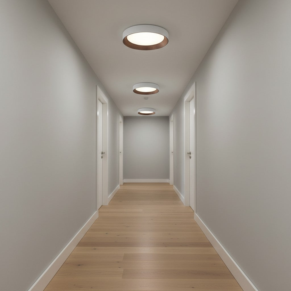 Lampada da soffitto minimalista Cedronis - Soluzione di illuminazione moderna per interni