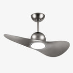 Bild in die Galerieansicht laden, Designer Hat Two-Blade Ceiling Fan Light