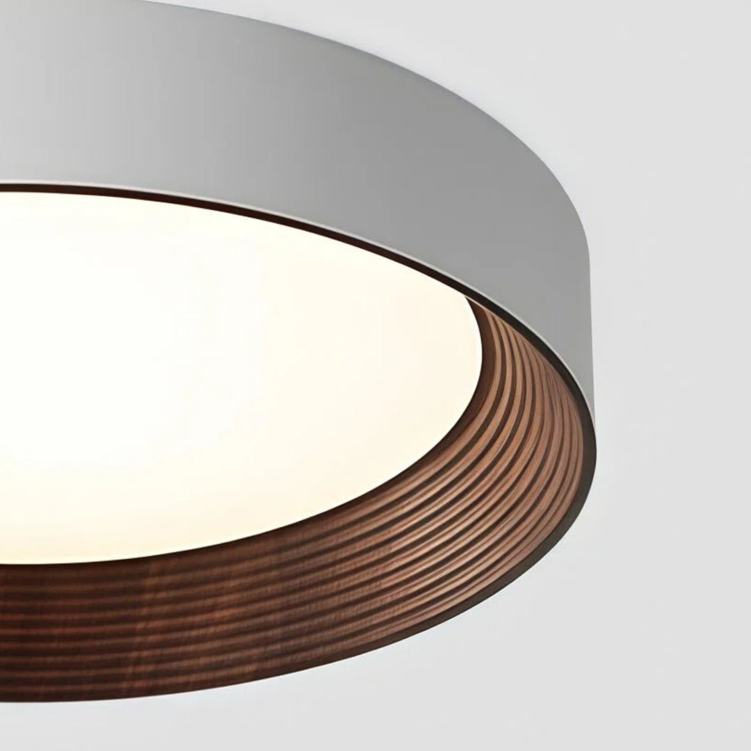Crelina Zeitgenössische Deckenleuchte – Innenraum Aufbaulampe für Flur und Essbereich U16