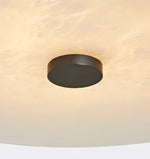 Bild in die Galerieansicht laden, Ankeny Alabaster Deckenlampe