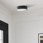 Load image into Gallery viewer, Crelina Minimalist Flush Mount Lighting - Modern Ceiling Fixture for Any Room
