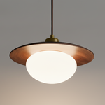 Load image into Gallery viewer, Vireo Pendant Lamp