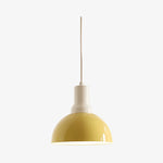 Charger l'image dans la visionneuse de la galerie, Rummia Artistic Flower Bud Pendant Lamp – Unique Form for Foyer or Bedroom