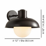 Afbeelding laden in galerijweergave, Harlan industriële melkglas wandlamp