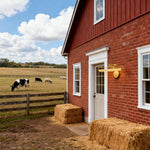 Cargar imagen en el visor de la galería, Aplique de luz para cuadros Aurix con diseño de brazo curvado - Iluminación de pared elegante para arte y espacios habitables