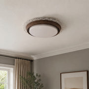 Round LED ceiling light 17