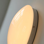 Load image into Gallery viewer, Wickes Flush Ceiling Light